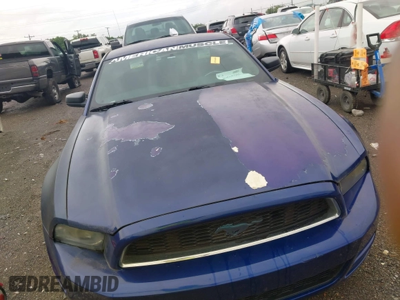 2014 Ford Mustang V6 с VIN 1ZVBP8AM7E5267695, выставлен на аукционе IAAI как лот 42535101 с пробегом 109 183 миль миль и . История ставок и продаж доступна на DreamBid. Изображение 12.