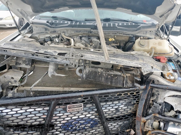 2017 Ford F-250 Lariat with VIN 1FT7W2BT8HED31603, listed as a Copart auction lot 62475025 with 105,293 mi miles and Salvage title. Bid and sale history available at DreamBid. Image 11.