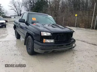 2003 Chevrolet Silverado 1500 LS with VIN 1GCEK14T73Z202568, listed as a Copart auction lot 84091234 with Not Provided miles and Salvage Title. Bid and sale history available at DreamBid. Image 10.