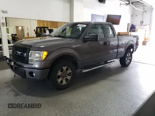 2013 Ford F-150 XL z VIN 1FTFX1EF1DKE12513, wystawiony jako Copart lot #64487905 z przebiegiem 114 892 mil mil oraz Czysty tytuł • Clean title. Historia ofert i sprzedaży dostępna na DreamBid. Obrazek 1.