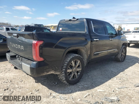 2022 Toyota Tundra Capstone Hybrid with VIN 5TFVC5DB7NX008259, listed as a Copart auction lot 44306175 with 73,691 mi miles and Salvage title. Bid and sale history available at DreamBid. Image 3.