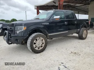 2009 Ford F-150 XL z VIN 1FTPW14V59FA52131, wystawiony jako Copart lot #59893695 z przebiegiem 163 462 mil mil oraz Czysty tytuł • Clean title. Historia ofert i sprzedaży dostępna na DreamBid. Obrazek 1.