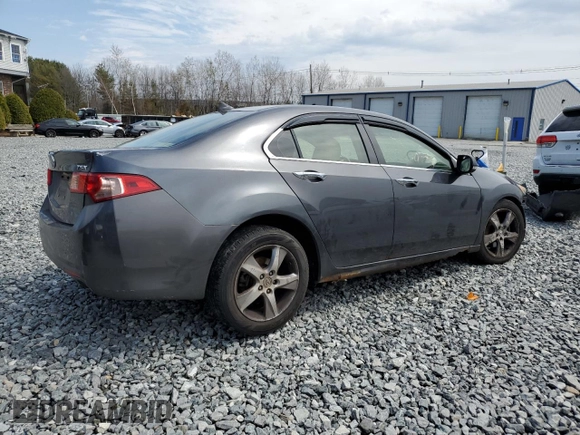 2013 Acura TSX Technology with VIN JH4CU2F66DC002007, listed as a Copart auction lot 53318155 with Not provided miles and Clean title. Bid and sale history available at DreamBid. Image 3.