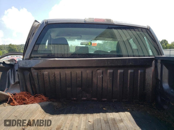 2006 Ford F-150 XL with VIN 1FTRF14W86NA56581, listed as a Copart auction lot 66061833 with 0 mi miles and Non Repairable. Bid and sale history available at carsss.com. Image 10.