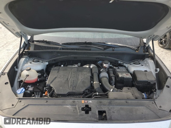 2022 Hyundai Santa Fe Limited with VIN 5NMS44AL3NH448754, listed as a Copart auction lot 87461164 with 47,134 mi miles and Salvage Title. Bid and sale history available at carsss.com. Image 12.