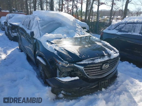 2019 Mazda CX-9 Touring with VIN JM3TCACY0K0322742, listed as a IAAI auction lot 41617659 with 122,041 mi miles. Bid and sale history available at carsss.com. Image 1.