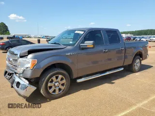2013 Ford F-150 XL with VIN 1FTFW1CF8DKE32876, listed as a Copart auction lot 58246815 with 165,102 mi miles and Salvage title. Bid and sale history available at DreamBid. Image 1.