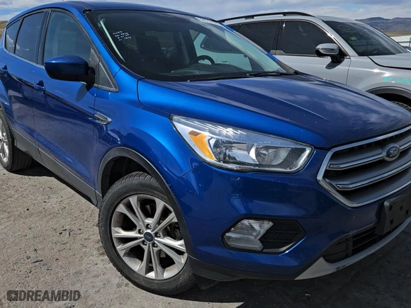 2017 Ford Escape SE with VIN 1FMCU0GD5HUC28411, listed as a Copart auction lot 50973105 with 125,515 mi miles and Salvage Title. Bid and sale history available at carsss.com. Image 12.