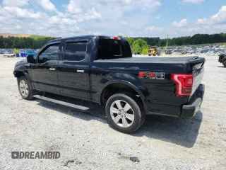 2016 Ford F-150 XLT with VIN 1FTEW1EF9GFB49621, listed as a Copart auction lot 61810865 with 258,610 mi miles and Salvage title. Bid and sale history available at DreamBid. Image 2.