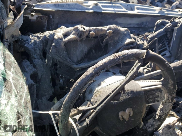 2019 Ram 2500 Laramie with VIN 3C6UR5FLXKG548602, listed as a Copart auction lot 42999815 with Not provided miles and Non repairable. Bid and sale history available at DreamBid. Image 9.
