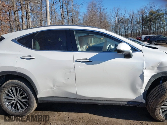 2025 Lexus NX with VIN JTJGGCEZ4S2023563, listed as a IAAI auction lot 41445692 with 210 mi miles. Bid and sale history available at carsss.com. Image 13.