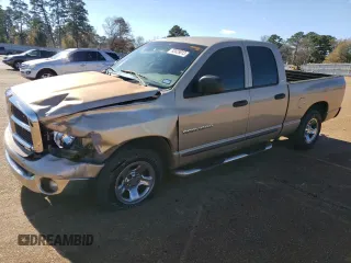2002 Dodge 1500 z VIN 1D7HA18N02S703732, wystawiony jako Copart lot #89305895 z przebiegiem 189 396 mil mil oraz Szkoda całkowita • Salvage title. Historia ofert i sprzedaży dostępna na DreamBid. Obrazek 1.