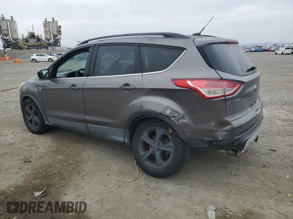 2013 Ford Escape SE with VIN 1FMCU0G94DUD12287, listed as a Copart auction lot 53066385 with 119,729 mi miles and Salvage Title. Bid and sale history available at carsss.com. Image 2.