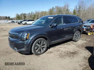2021 Kia Telluride SX z VIN 5XYP5DHC2MG145658, wystawiony jako Copart lot #50163125 z przebiegiem 29 302 mil mil oraz Czysty tytuł • Clean title. Historia ofert i sprzedaży dostępna na DreamBid. Obrazek 1.
