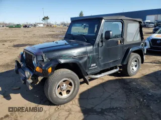 2003 Jeep Wrangler X with VIN 1J4FA39S33P357059, listed as a Copart auction lot 48983315 with 166,532 mi miles and Salvage Title. Bid and sale history available at carsss.com. Image 1.