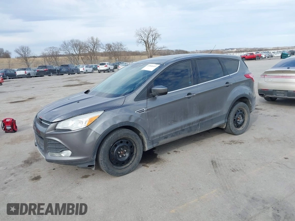 2014 Ford Escape SE with VIN 1FMCU0GX9EUE26575, listed as a IAAI auction lot 41846411 with 188,386 mi miles. Bid and sale history available at carsss.com. Image 2.