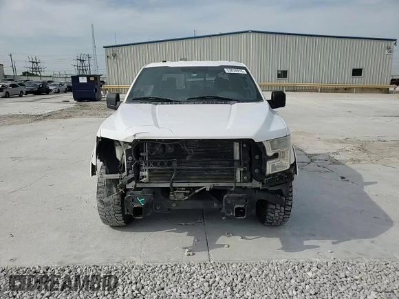 2016 Ford F-150 XL with VIN 1FTEW1CF7GKD22532, listed as a Copart auction lot 53856915 with 202,289 mi miles and Salvage Title. Bid and sale history available at carsss.com. Image 11.