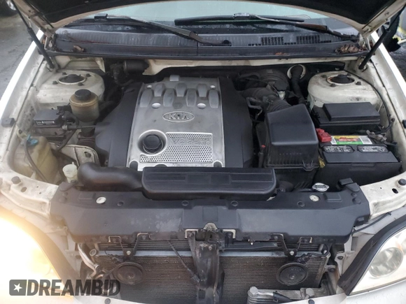 2005 Kia Sedona LX with VIN KNDUP132356753784, listed as a Copart auction lot 85112374 with 169,123 mi miles and Salvage Title. Bid and sale history available at carsss.com. Image 12.
