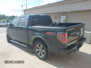 2014 Ford F-150 XL with VIN 1FTFW1EF3EKE36459, listed as a IAAI auction lot 42586873 with 248,358 mi miles and . Bid and sale history available at DreamBid. Image 3.