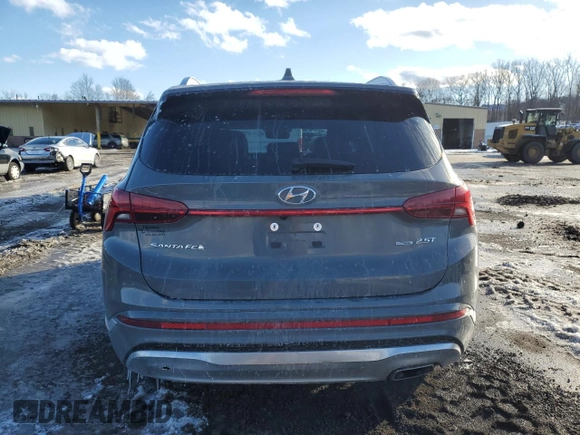 2023 Hyundai Santa Fe Calligraphy with VIN 5NMS5DAL6PH575630, listed as a Copart auction lot 44558445 with 33,897 mi miles and Salvage Title. Bid and sale history available at carsss.com. Image 6.