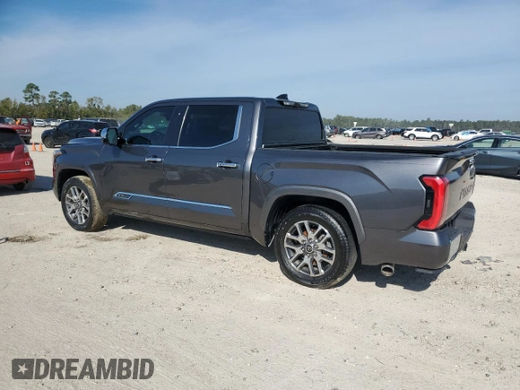 2023 Toyota Tundra 1794 Edition with VIN 5TFMA5AB1PX020609, listed as a Copart auction lot 78865424 with Not provided miles and Non repairable. Bid and sale history available at DreamBid. Image 2.
