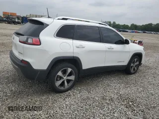 2019 Jeep Cherokee Limited with VIN 1C4PJLDB0KD438585, listed as a Copart auction lot 59818835 with 117,809 mi miles and Salvage title. Bid and sale history available at DreamBid. Image 3.