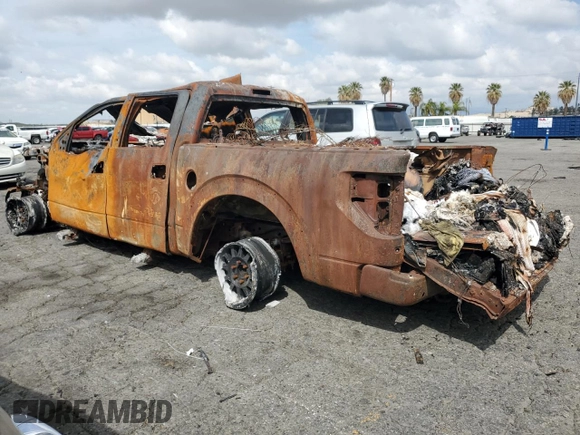 2014 Ford F-150 SVT Raptor with VIN 1FTFW1R68EFC90689, listed as a Copart auction lot 48325855 with Not Provided miles and Non Repairable. Bid and sale history available at carsss.com. Image 2.
