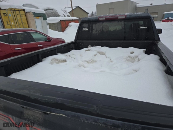 2019 Chevrolet Silverado 1500 Custom Trail Boss with VIN 1GCPYCEF8KZ414311, listed as a Copart auction lot 44328785 with 160,718 mi miles and Salvage Title. Bid and sale history available at carsss.com. Image 10.