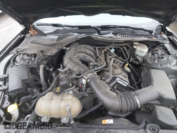 2017 Ford Mustang V6 with VIN 1FA6P8AMXH5227044, listed as a IAAI auction lot 41570817 with 80,997 mi miles and . Bid and sale history available at carsss.com. Image 10.