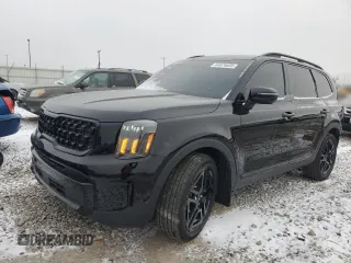 2024 Kia Telluride EX with VIN 5XYP3DGC9RG424653, listed as a Copart auction lot 44576655 with 27,418 mi miles and Salvage Title. Bid and sale history available at carsss.com. Image 1.