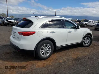 2010 Infiniti FX with VIN JN8AS1MW3AM856815, listed as a Copart auction lot 88151065 with 173,803 mi miles and Salvage Title. Bid and sale history available at DreamBid. Image 3.