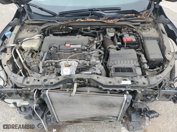 2019 Honda Civic Sedan LX with VIN 2HGFC2F63KH568820, listed as a Copart auction lot 51085635 with 50,759 mi miles and Salvage Title. Bid and sale history available at carsss.com. Image 11.