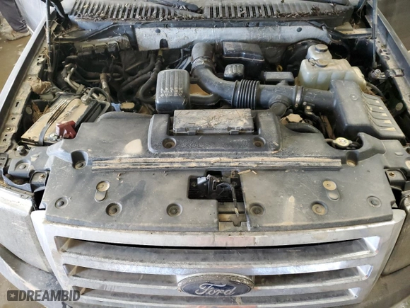 2009 Ford Expedition Eddie Bauer with VIN 1FMFU18599EA71407, listed as a Copart auction lot 75465164 with 0 mi miles and Salvage Title. Bid and sale history available at carsss.com. Image 12.