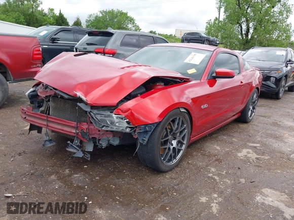 2013 Ford Mustang GT with VIN 1ZVBP8CF5D5209257, listed as a IAAI auction lot 42141198 with 124,462 mi miles and . Bid and sale history available at DreamBid. Image 18.
