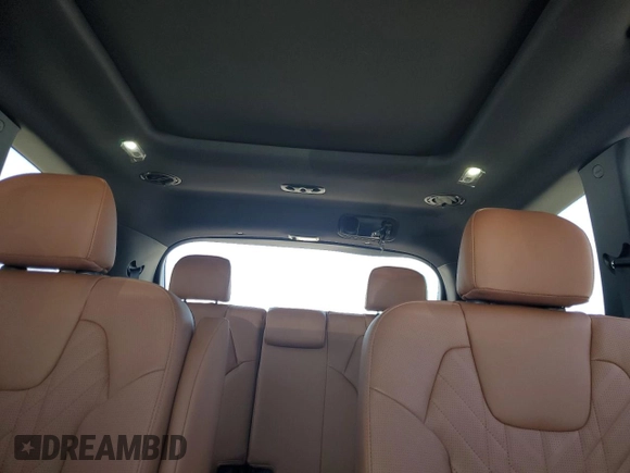 2025 Kia Telluride SX X-Line with VIN 5XYP5DGC0SG599325, listed as a Copart auction lot 51951635 with 3,212 mi miles and Salvage title. Bid and sale history available at DreamBid. Image 10.