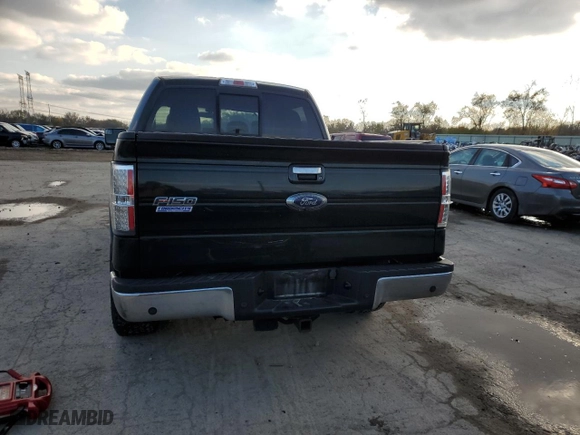 2013 Ford F-150 XLT with VIN 1FTFW1E66DFD96496, listed as a Copart auction lot 73612493 with 0 mi miles and Non Repairable. Bid and sale history available at carsss.com. Image 6.