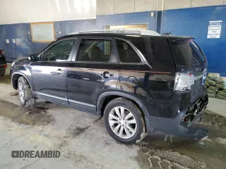2011 Kia Sorento EX with VIN 5XYKU4A25BG103836, listed as a Copart auction lot 46044915 with 0 mi miles and Salvage Title. Bid and sale history available at carsss.com. Image 2.