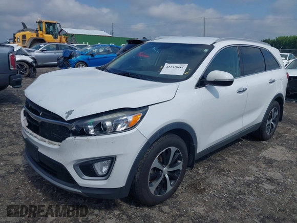 2017 Kia Sorento EX with VIN 5XYPH4A59HG300957, listed as a IAAI auction lot 42215684 with 220,309 mi miles and . Bid and sale history available at DreamBid. Image 17.