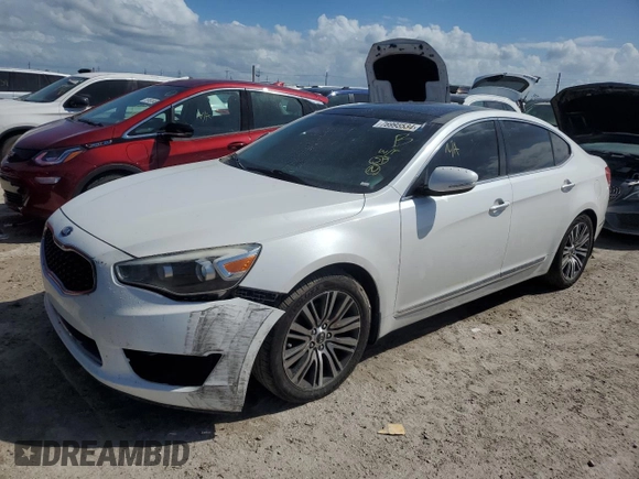 2014 Kia Cadenza Premium with VIN KNALN4D72E5167044, listed as a Copart auction lot 76995534 with 0 mi miles and Non Repairable. Bid and sale history available at carsss.com. Image 1.