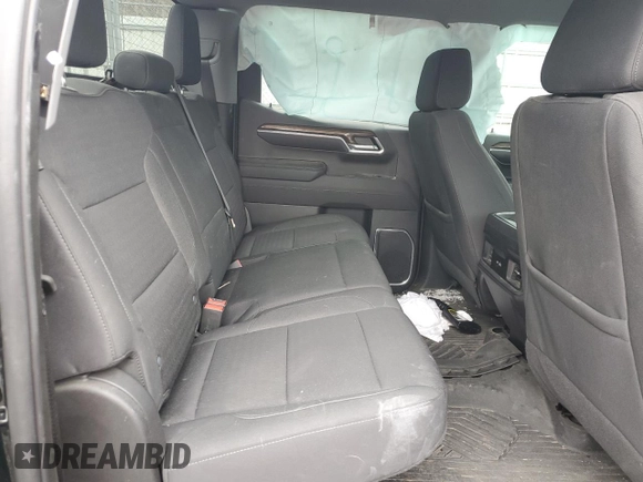 2023 Chevrolet Silverado 1500 LT Trail Boss with VIN 3GCUDFED4PG140806, listed as a Copart auction lot 43204895 with Not Provided miles and Salvage Title. Bid and sale history available at DreamBid. Image 10.
