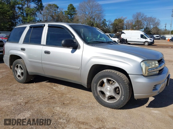 2008 Chevrolet TrailBlazer LT w/3LT with VIN 1GNDT13SX82248033, listed as a IAAI auction lot 41311086 with 202,377 mi miles. Bid and sale history available at carsss.com. Image 1.