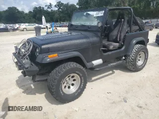 1990 Jeep Wrangler with VIN 2J4FY29TXLJ510967, listed as a Copart auction lot 63497145 with 171,132 mi miles and Salvage title. Bid and sale history available at DreamBid. Image 1.