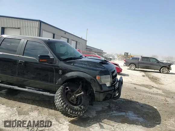 2013 Ford F-150 XL with VIN 1FTFW1EF8DFA69131, listed as a Copart auction lot 48292535 with 194,204 mi miles and Salvage Title. Bid and sale history available at carsss.com. Image 13.