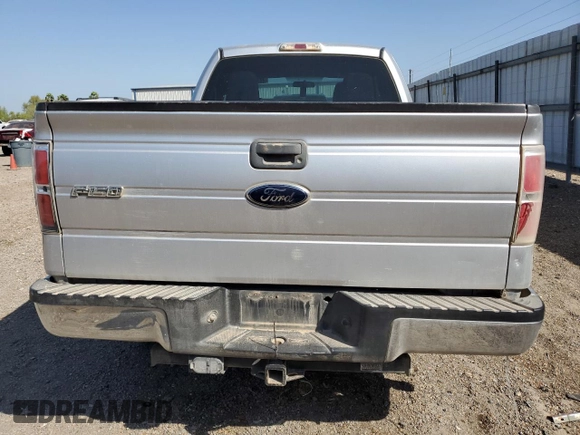 2010 Ford F-150 XL with VIN 1FTEX1CW0AFC65703, listed as a Copart auction lot 48744955 with 332,310 mi miles and Salvage Title. Bid and sale history available at carsss.com. Image 6.