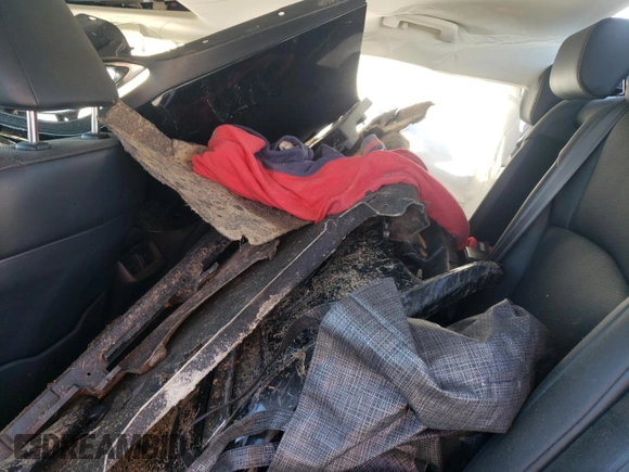 2019 Lexus ES 350 with VIN 58ABZ1B17KU013323, listed as a Copart auction lot 50030205 with 82,549 mi miles and Salvage Title. Bid and sale history available at DreamBid. Image 10.
