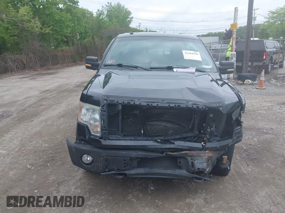 2010 Ford F-150 XL with VIN 1FTFX1EV3AFB59948, listed as a IAAI auction lot 42282930 with 179,930 mi miles and . Bid and sale history available at DreamBid. Image 12.