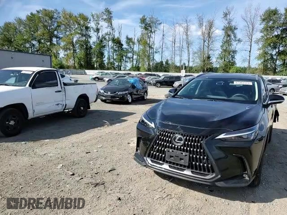 2022 Lexus NX with VIN 2T2GKCEZ8NC004372, listed as a Copart auction lot 67303123 with 16,217 mi miles. Bid and sale history available at carsss.com. Image 12.