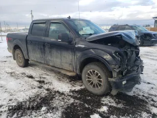 2019 Ford F-150 XL with VIN 1FTEW1EP9KKD61251, listed as a Copart auction lot 81344233 with 141,639 mi miles and Salvage title. Bid and sale history available at DreamBid. Image 4.