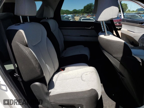 2020 Hyundai Palisade SEL with VIN KM8R34HE4LU110211, listed as a Copart auction lot 58011805 with 64,216 mi miles and Salvage title. Bid and sale history available at DreamBid. Image 10.