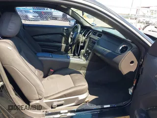 2013 Ford Mustang V6 with VIN 1ZVBP8AM3D5244879, listed as a IAAI auction lot 42210809 with Not provided miles and . Bid and sale history available at DreamBid. Image 5.